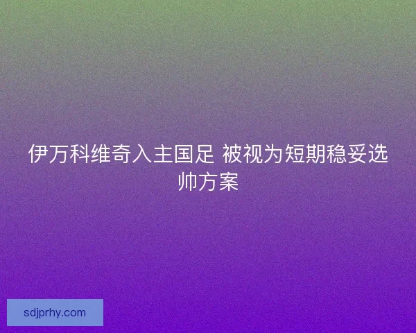 伊万科维奇入主国足 被视为短期稳妥选帅方案